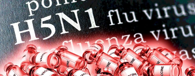 Lintuinfluenssaan sairastumisriski on pienempi kuin vakavan rokotehaitan riski