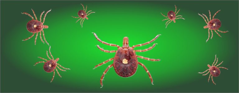 GMO-punkit levittävät “liha-allergiaa”- uusi bioterrorismi